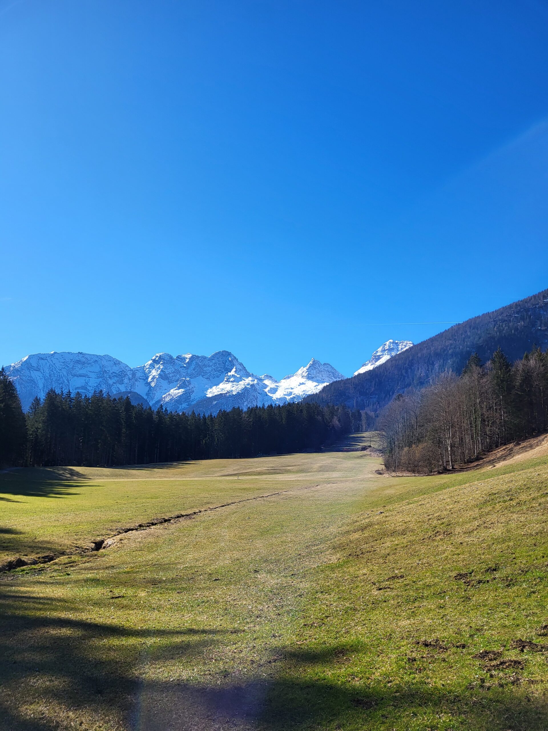 Krepper Lofer Gasthaus Frühling